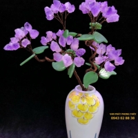 CÂY KIM TIỀN PHONG THỦY