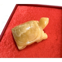Rùa Đá mini