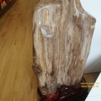 GỖ HÓA THẠCH