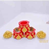 hũ muối túi vàng có công dụng gì
