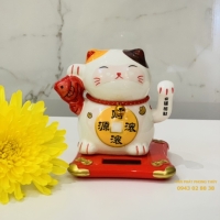 MÈO THẦN TÀI F4D (Nhỏ)