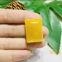 MẶT HỔ PHÁCH GN 12 16