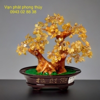 CÂY KIM TIỀN  (ĐÁ THẠCH ANH VÀNG )