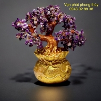 CÂY KIM TIỀN ( ĐÁ THẠCH ANH TÍM , XANH)