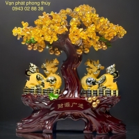 CÂY KIM TIỀN  176 - VC Nhỏ