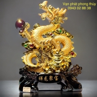 RỒNG VÀNG (16030 )
