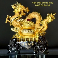 RỒNG VÀNG ( 220045 )