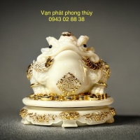 THIỀM THỪ (CC001-18-TR )