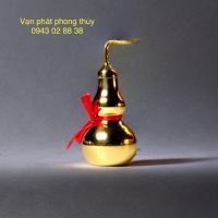 HỒ LÔ ĐỒNG ( 10 CM)