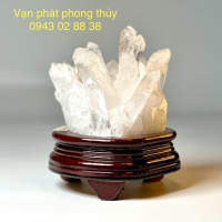 MẦM TINH THỂ THẠCH ANH TRẮNG ( 153 )