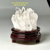 mầm tinh thể thạch anh trắng