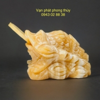 THIỀM THỪ