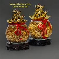 TÚI VÀNG 09 ( N )