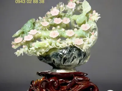 Những kiểu cây phong thủy đang được giới kinh doanh ưa chuộng
