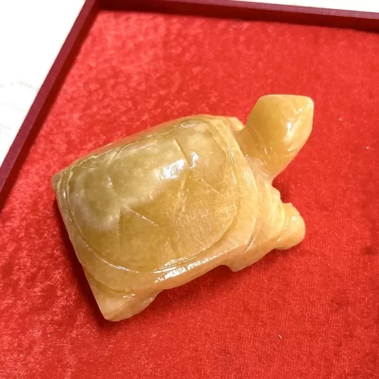 Rùa Đá mini