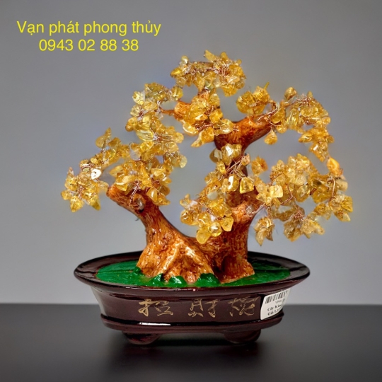 CÂY KIM TIỀN  (ĐÁ THẠCH ANH VÀNG )