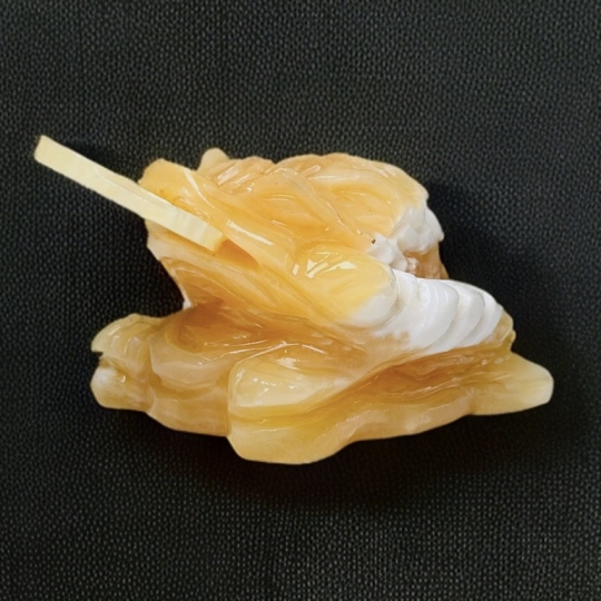 CÓC TRUNG ( L )