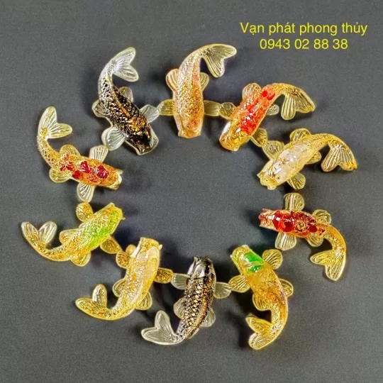 CÁ KOY phong thủy nhiều màu