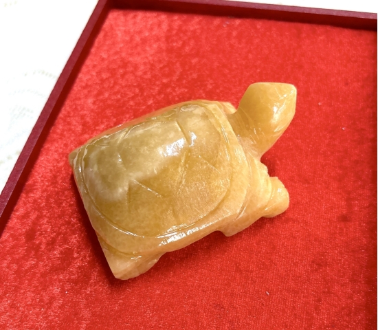 Rùa Đá mini