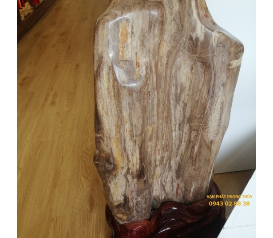 GỖ HÓA THẠCH