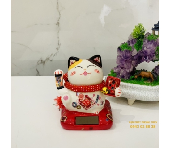 MÈO THẦN TÀI NL - Pin 86485