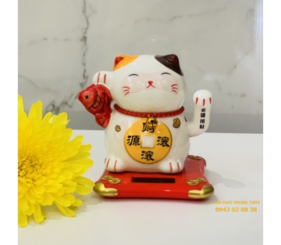 MÈO THẦN TÀI F4D (Nhỏ)