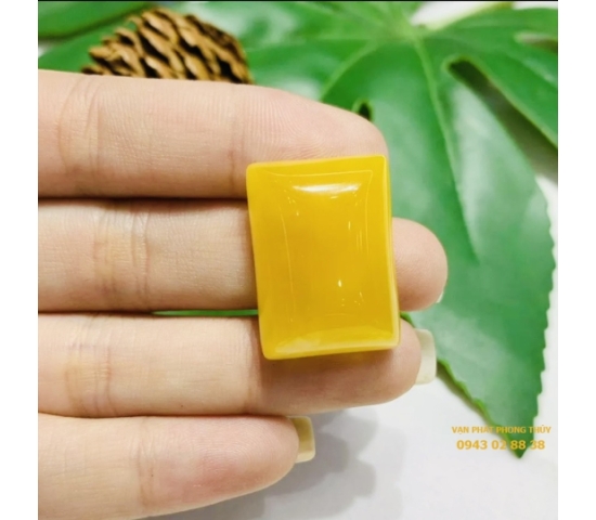 MẶT HỔ PHÁCH GN 12 16