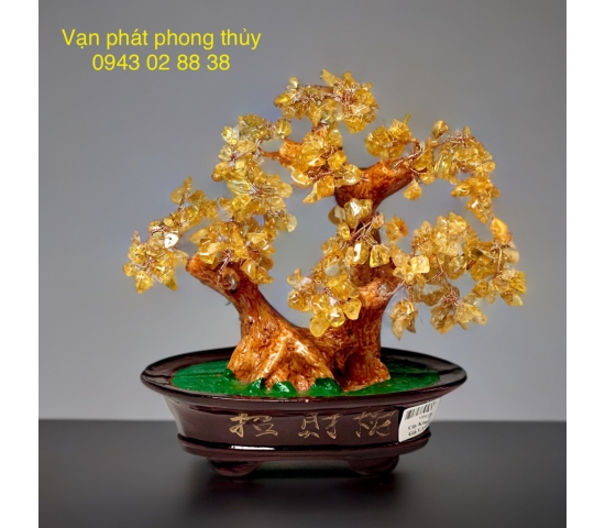 CÂY KIM TIỀN  (ĐÁ THẠCH ANH VÀNG )