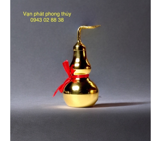 HỒ LÔ ĐỒNG ( 10 CM)