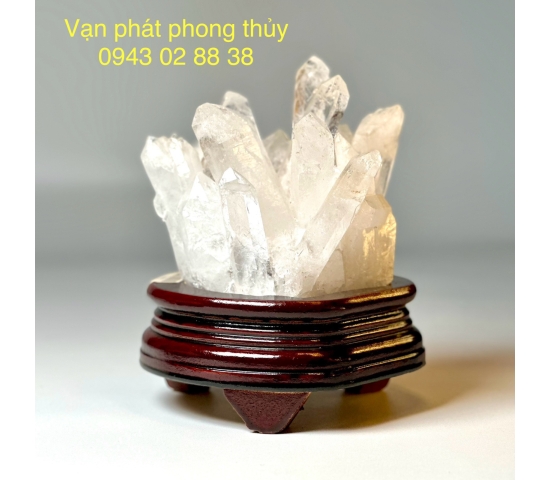 MẦM TINH THỂ THẠCH ANH TRẮNG ( 153 )