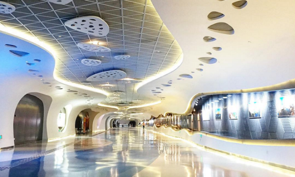 Cách nhận biết khí trường suy yếu trong nhà trước khi vận xấu xuất hiện và cách hóa giải