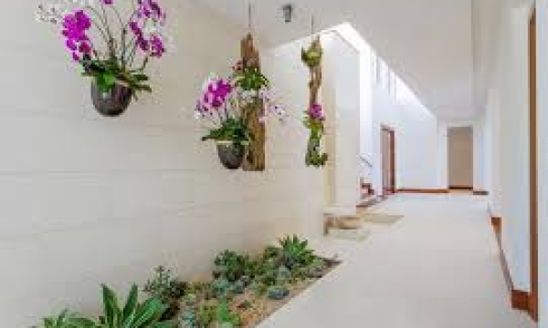 Hung sát từ hành lang dài và cách giảm cảm giác bất an trong nhà