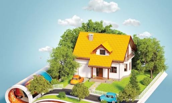 Phong thủy Loan đầu quan trọng hơn vật phẩm ra sao?
