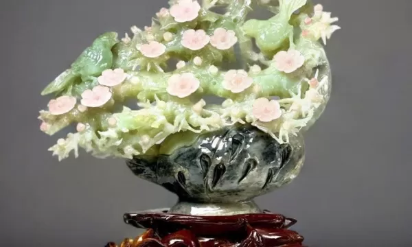 Những kiểu cây phong thủy đang được giới kinh doanh ưa chuộng