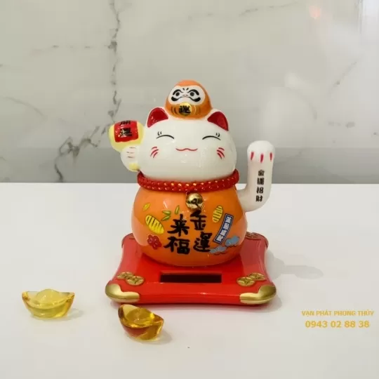 Đặt mèo ở những nơi ô uế, thiếu trang nghiêm