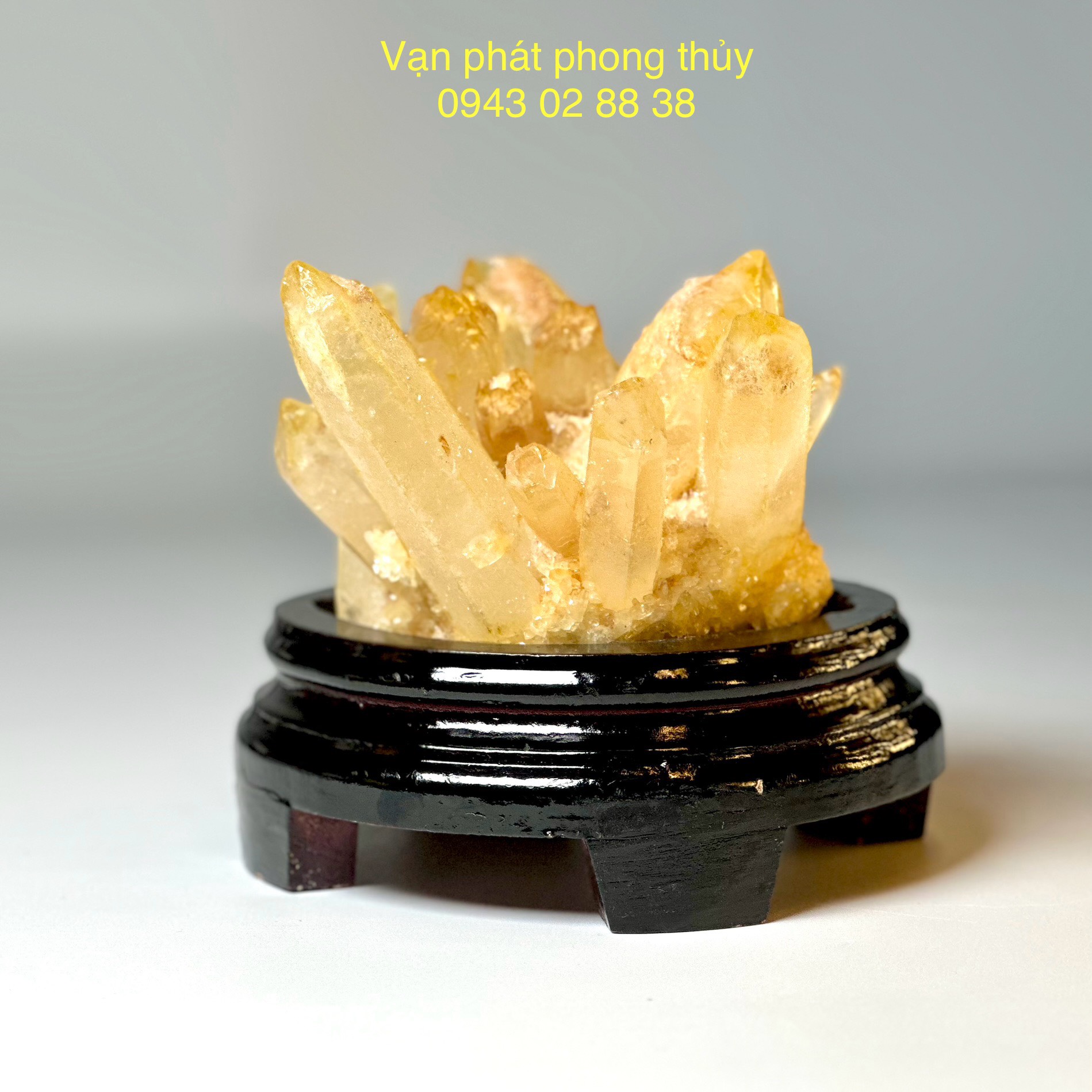 Mầm đá thạch anh vàng